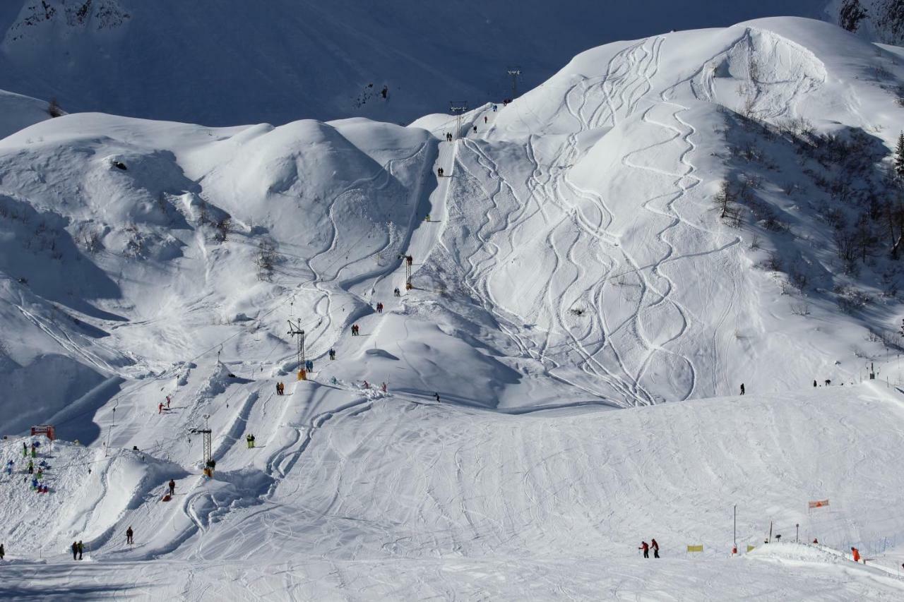 Chalet Cuore Delle Alpi أيرولو المظهر الخارجي الصورة